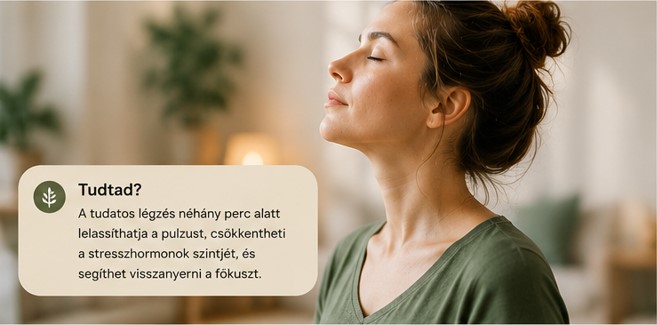 mindfulness légzés 3 mindfulnessstepbystep